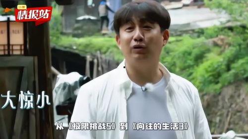 黄磊吃鸡爆料视频大全下载,揭秘美食背后的趣味瞬间  第3张