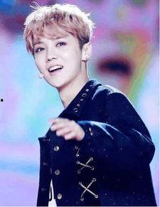 鹿晗八卦吃瓜视频合集免费观看,免费观看吃瓜视频合集大揭秘  第1张