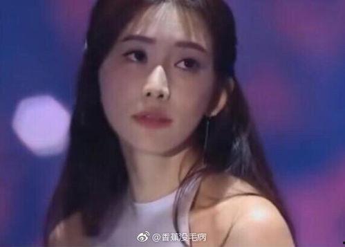 爆料娱乐圈网红有哪些明星,揭秘明星背后的网红生活  第2张