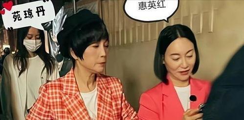 港星爆料搞笑视频合集,搞笑视频合集欢乐无限  第3张