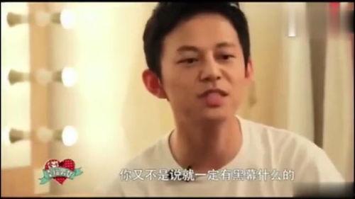 何炅爆料娱乐圈视频,一场真实与虚幻的碰撞  第3张