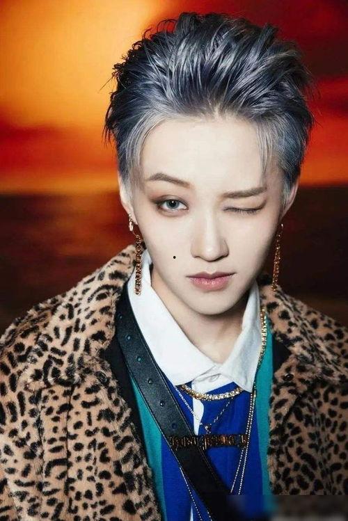 娱乐八卦每日爆料刘雨昕,娱乐八卦焦点，揭秘明星背后的故事  第2张